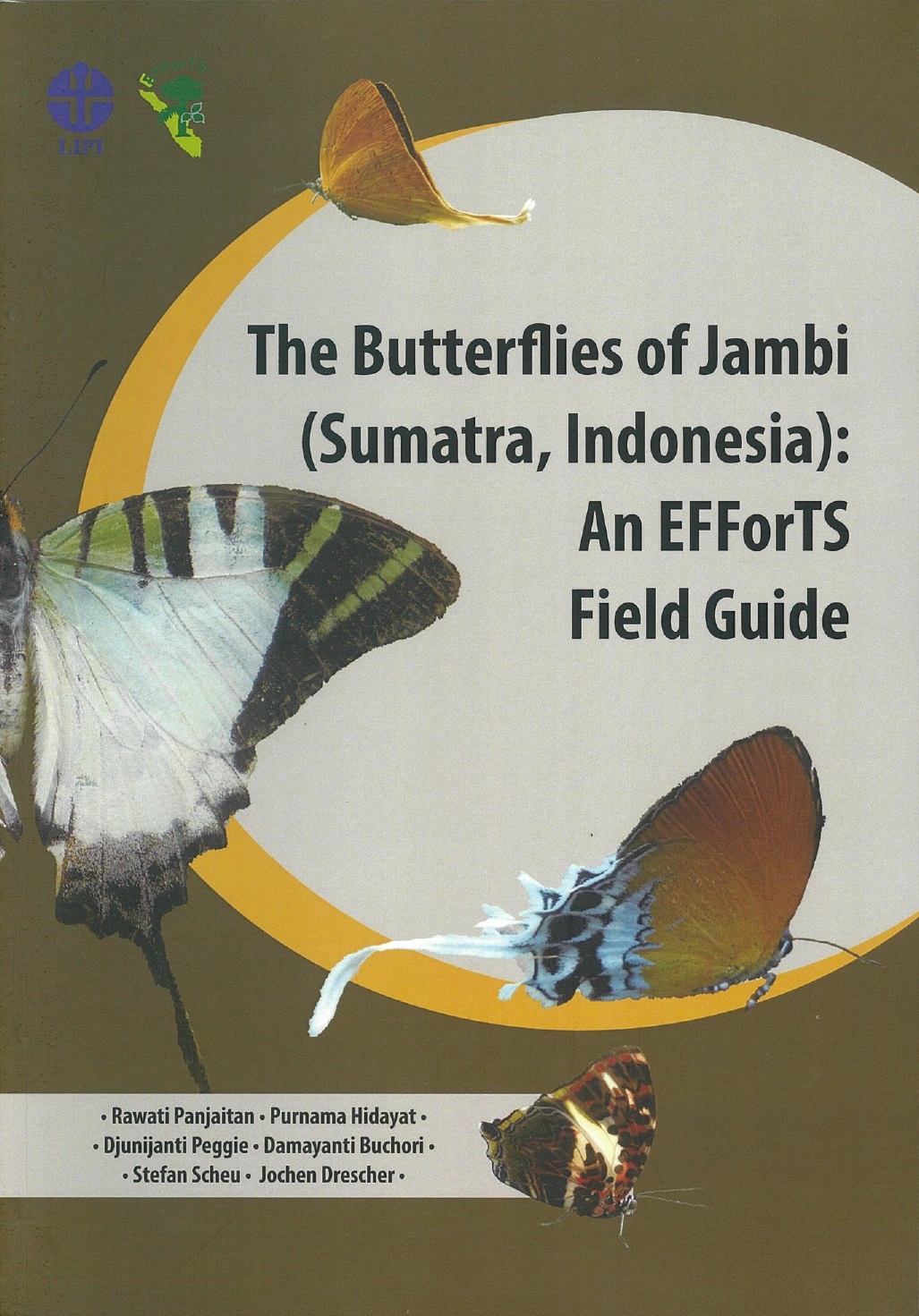The butterflies of Jambi (Sumatra, Indonesia) :  an efforts field guide