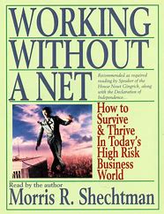 Working Without a Net :  How to Survive & Thrive in Today's High Risk Business World