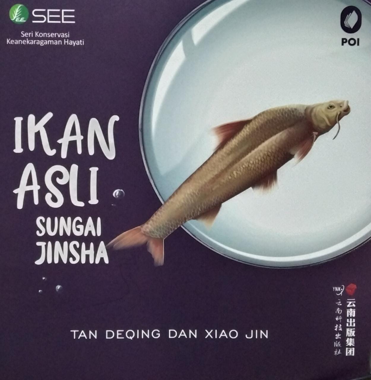 Ikan asin sungai jinsha