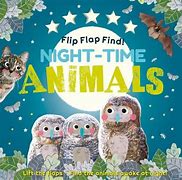 Flip Flap Find ! Night- Time Animals
