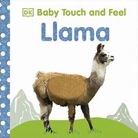 Baby Touch and Feel : Llama