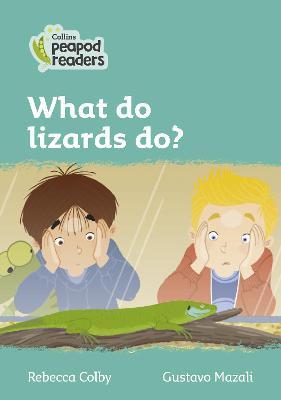 What do lizards do?