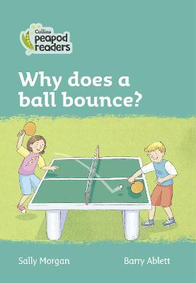 Why does a ball bounce?