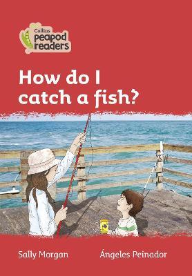 How do i catch a fish?