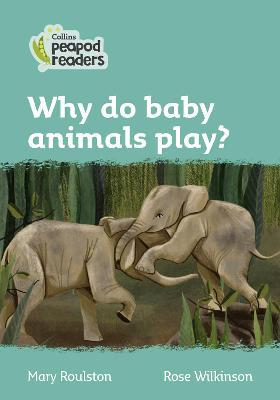 Why do baby animals play?
