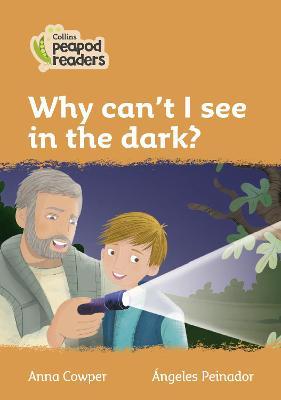 Why can't I see in the dark?