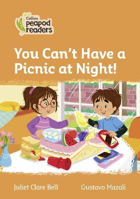You Can't Have a Picnic at Night!