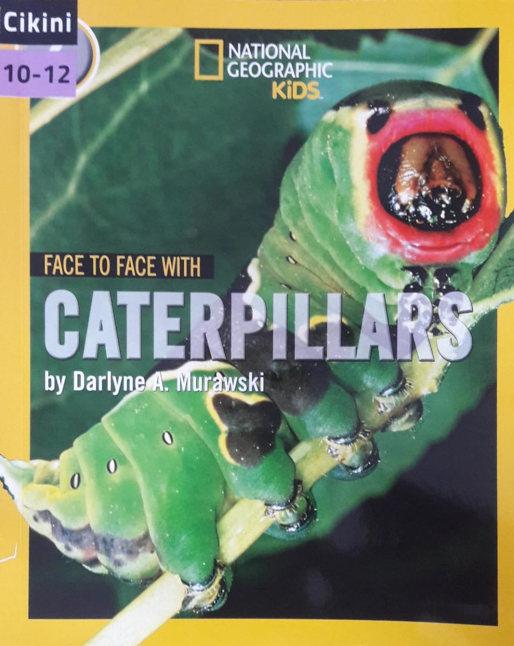 National geographic kids : face to face with caterpillars