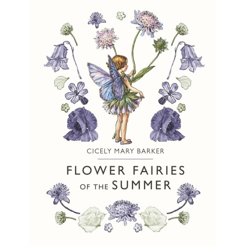 Flower fairies of the summer