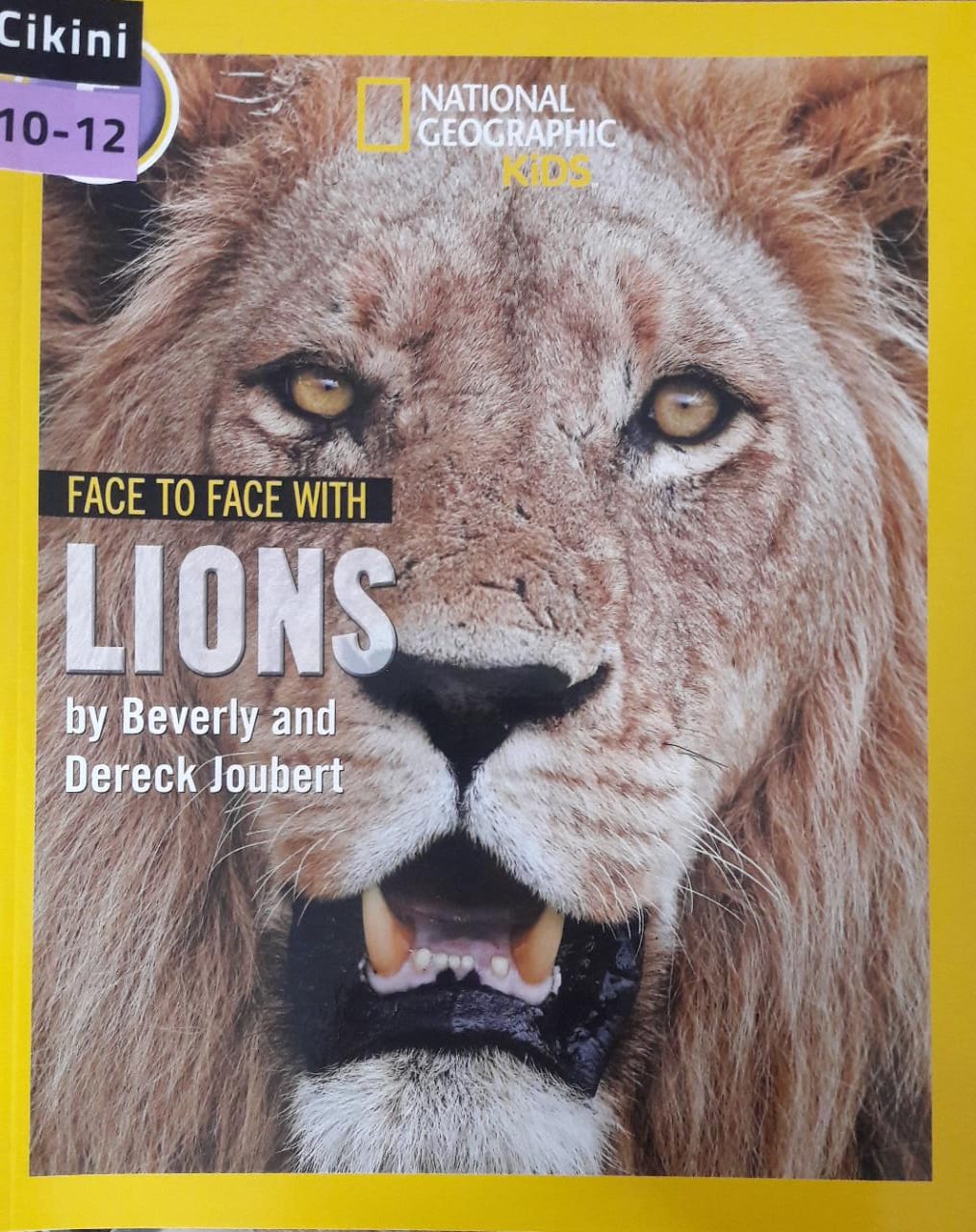 National Geographic Kids :  face to face with lions