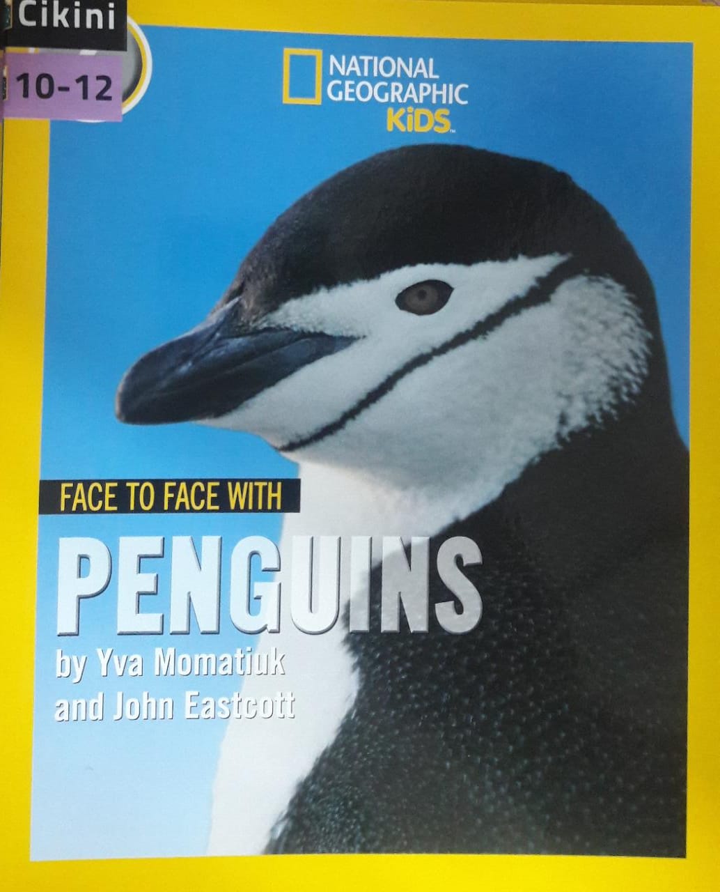 National Geographic Kids :  face to face with penguins