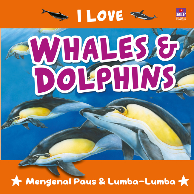 I love whhales & dolphins :  mengenal paus & lumba-lumba