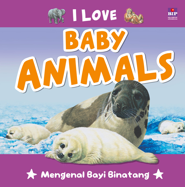 I love baby animals :  mengenal bayi binatang
