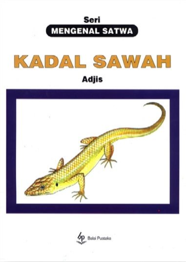 Seri Mengenal Satwa :  Kadal Sawah