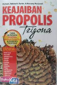 Keajaiban Propolis Trigona