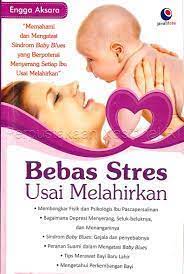 Bebas stres usai melahirkan :  memahami dan mengatasi sindrom baby blues yang berpotensi menyerang setiap ibu usai melahirkan
