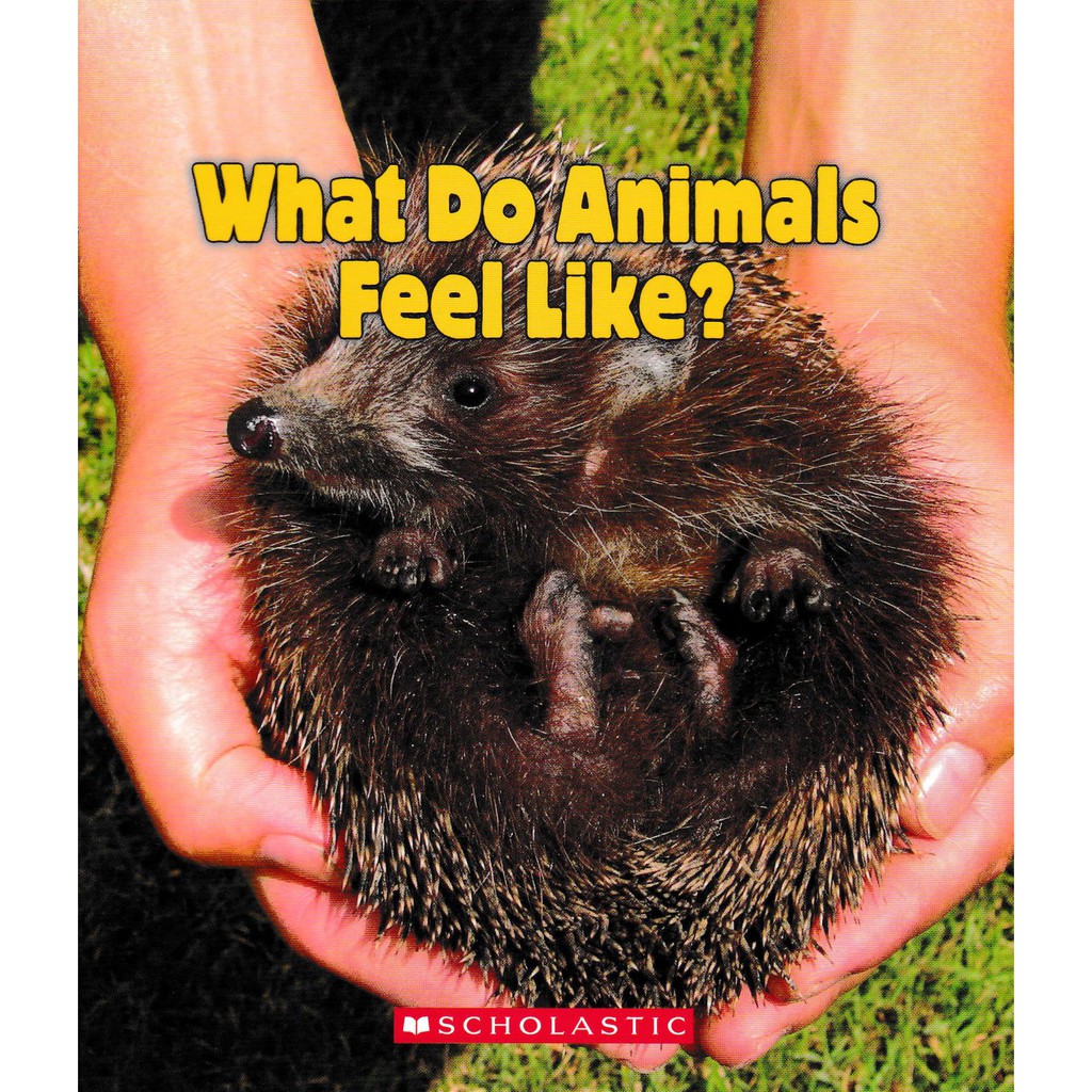 What do animals feel like?