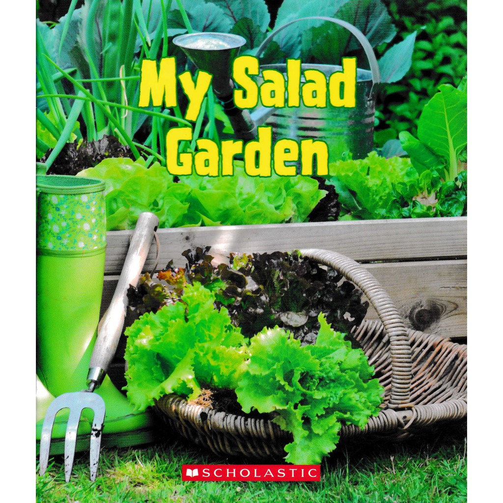 My salad garden
