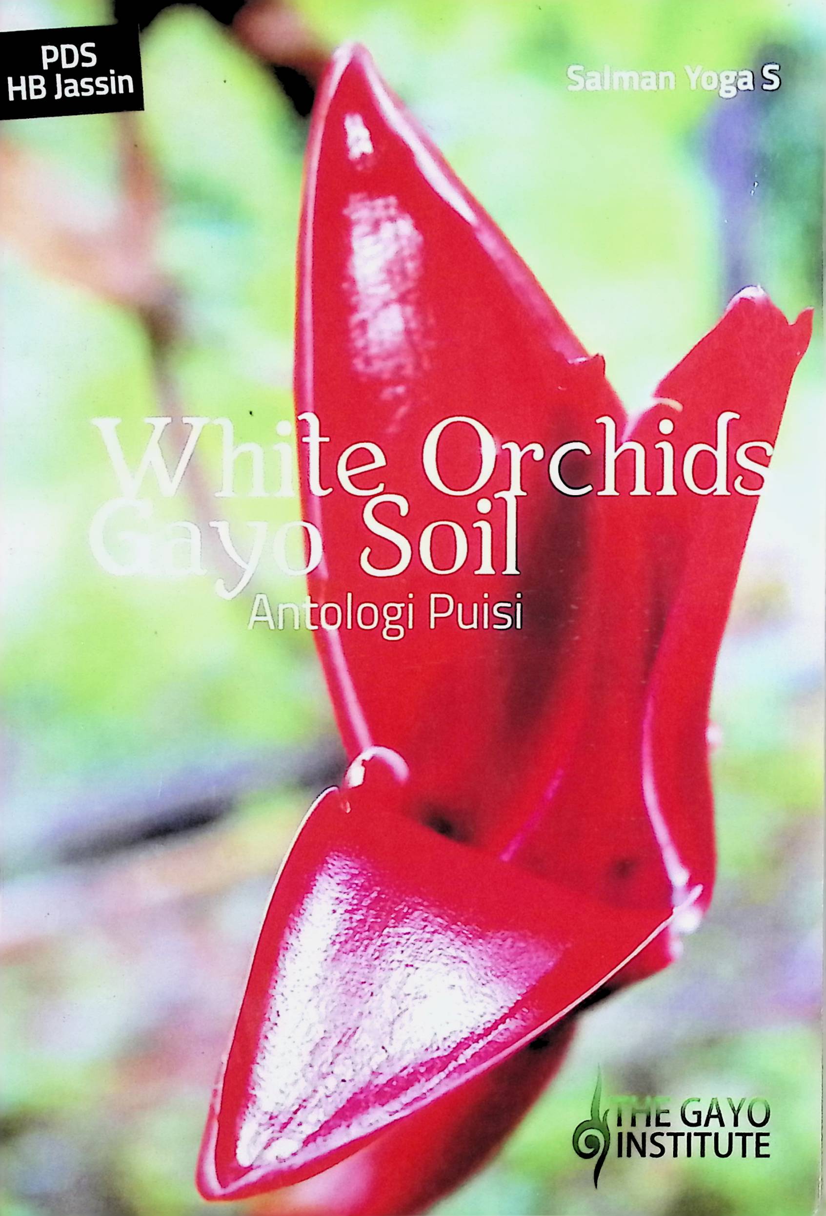 White orchids Gayo soil