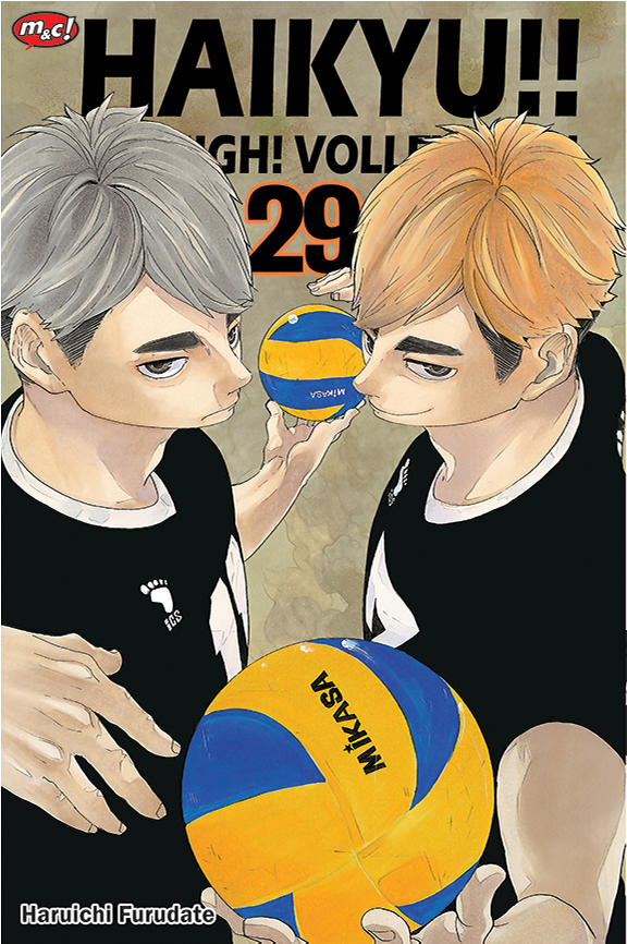 Haikyu!! fly high! volleyball 29