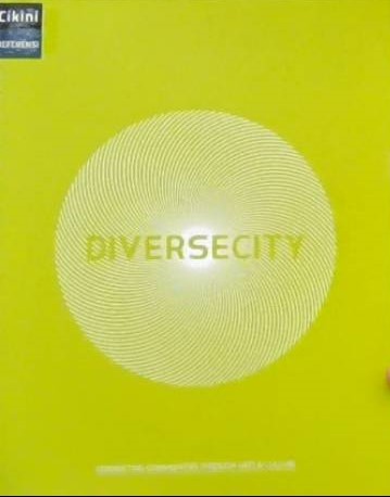 Diversecity :  connecting communities through arts & culture