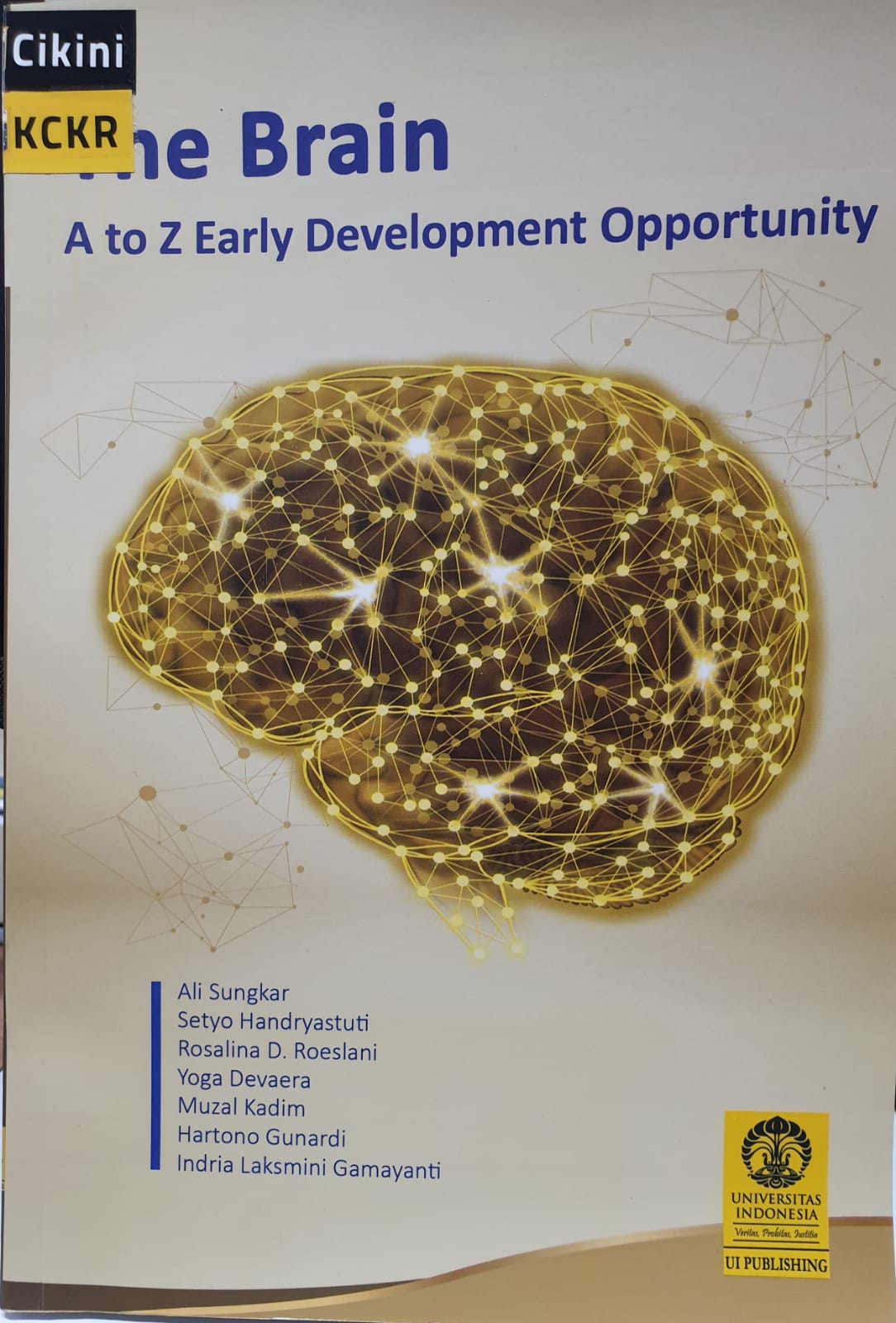 The brain :  A to Z early development opportunity