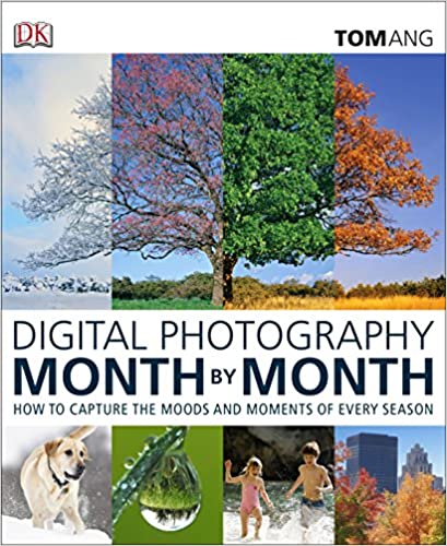 Digital photography month & month :  how to capture the moments and moods of every season