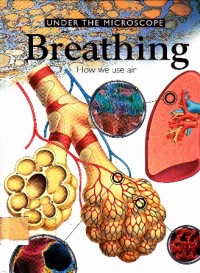Under the microscope breathing :  how use air