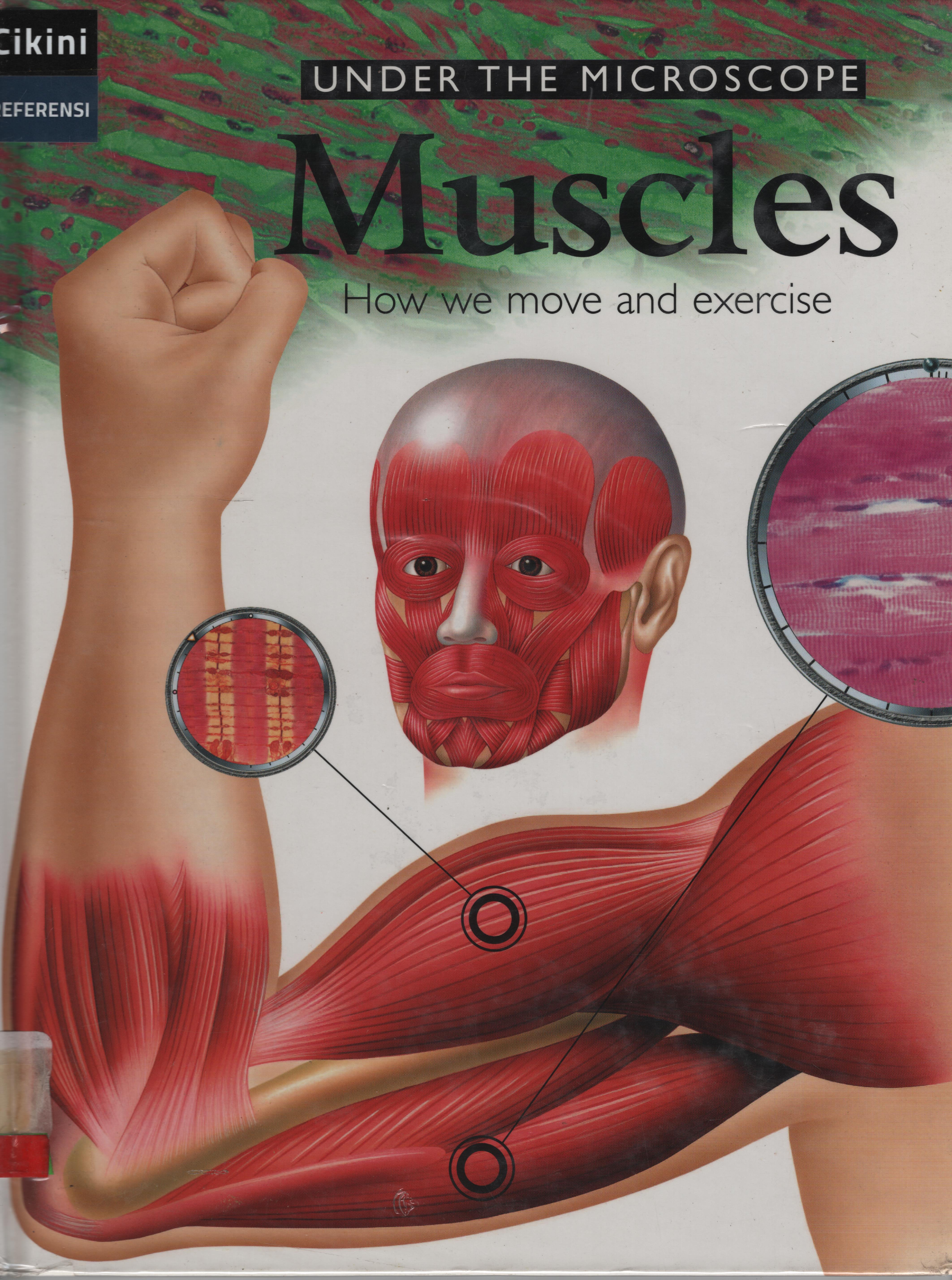 Under the microscope muscles :  how we move and exercise