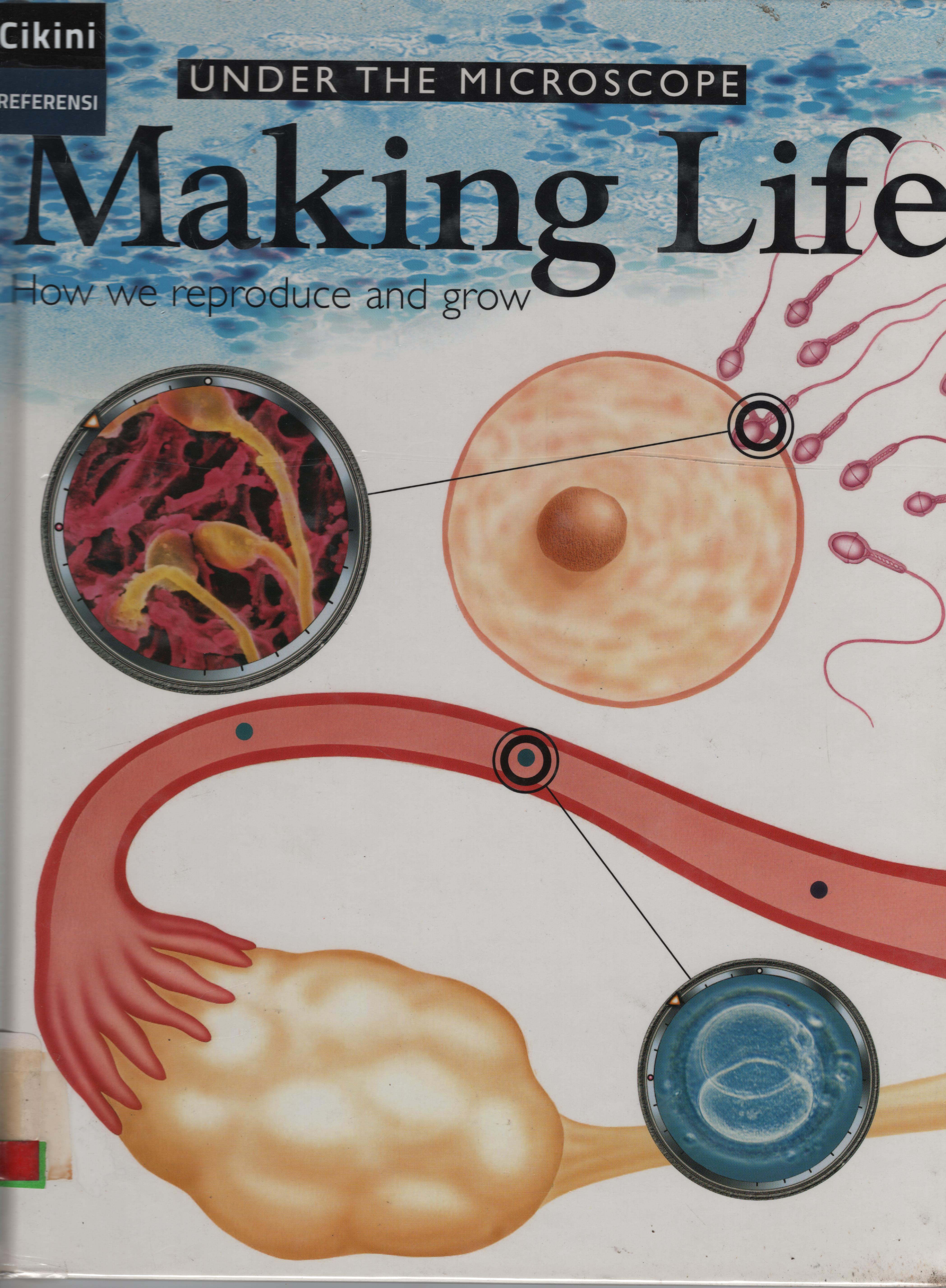 Under the microscope making life :  how we reproduce and grow