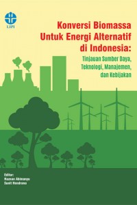 Konversi biomassa untuk energi alternatif di Indonesia :  tinjauan sumber daya, teknologi, manajemen dan kebijakan
