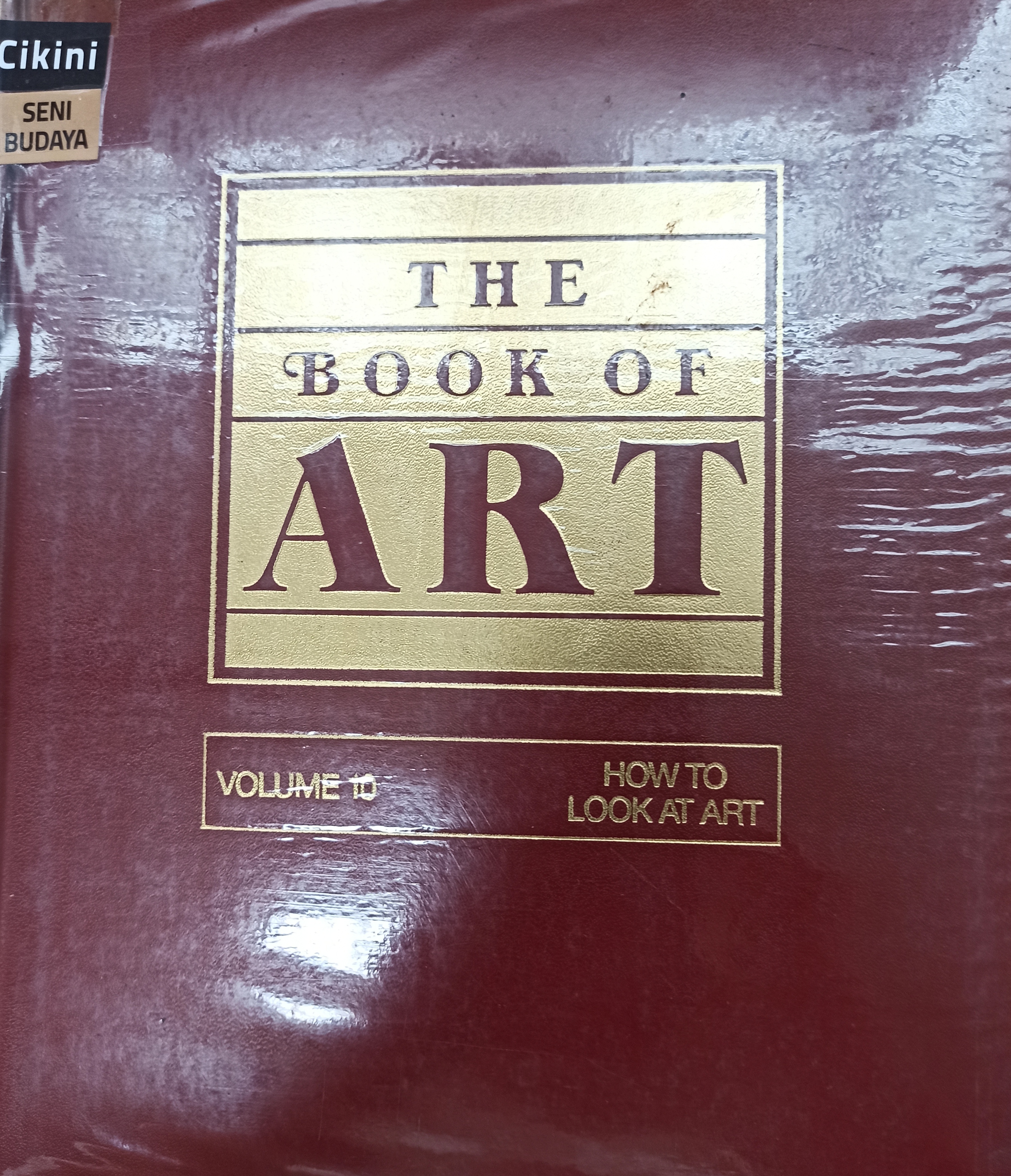 The book of art : a pictorial encyclopedia of painting, drawing and sculpture. volume 10. how to look at art