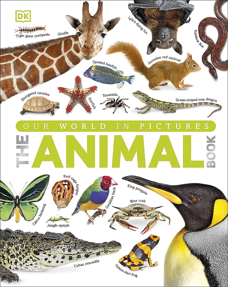 Our world in pictures :  the animal book