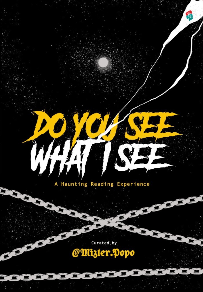 Do you see what i see :  a haunting reading experience