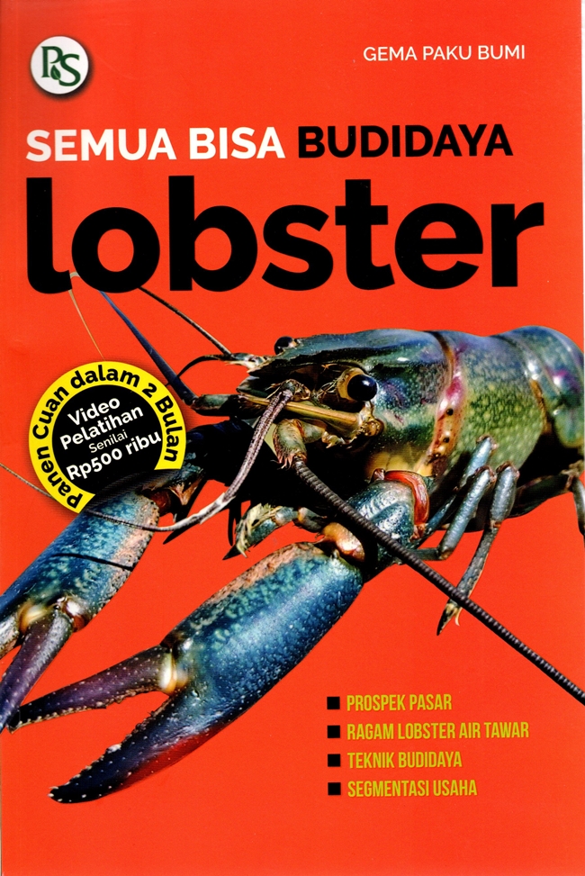 Semua bisa budidaya lobster
