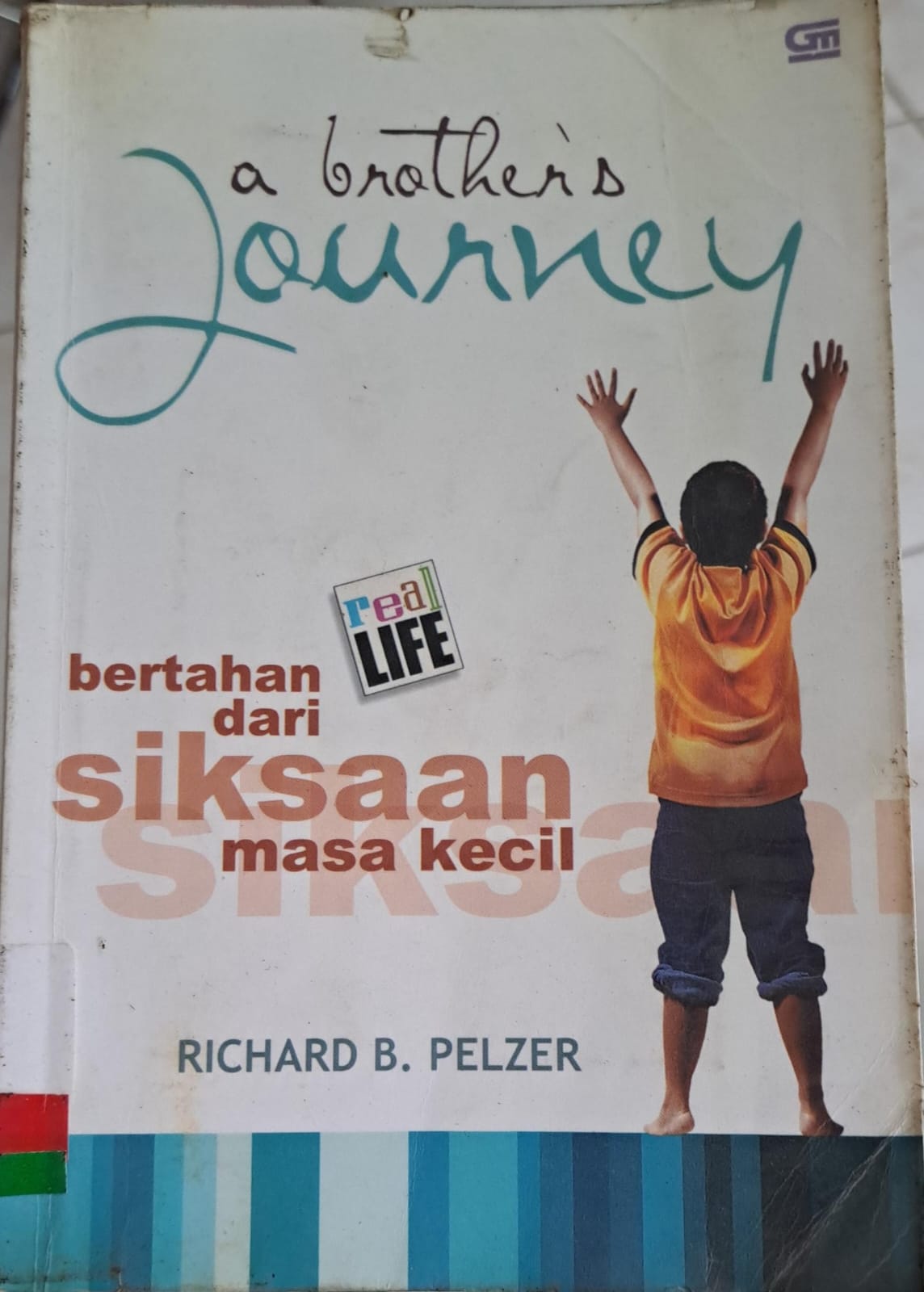 A brother's journey :  Bertahan dari siksaan masa kecil