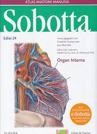 Sobotta atlas anatomi manusia :  organ interna
