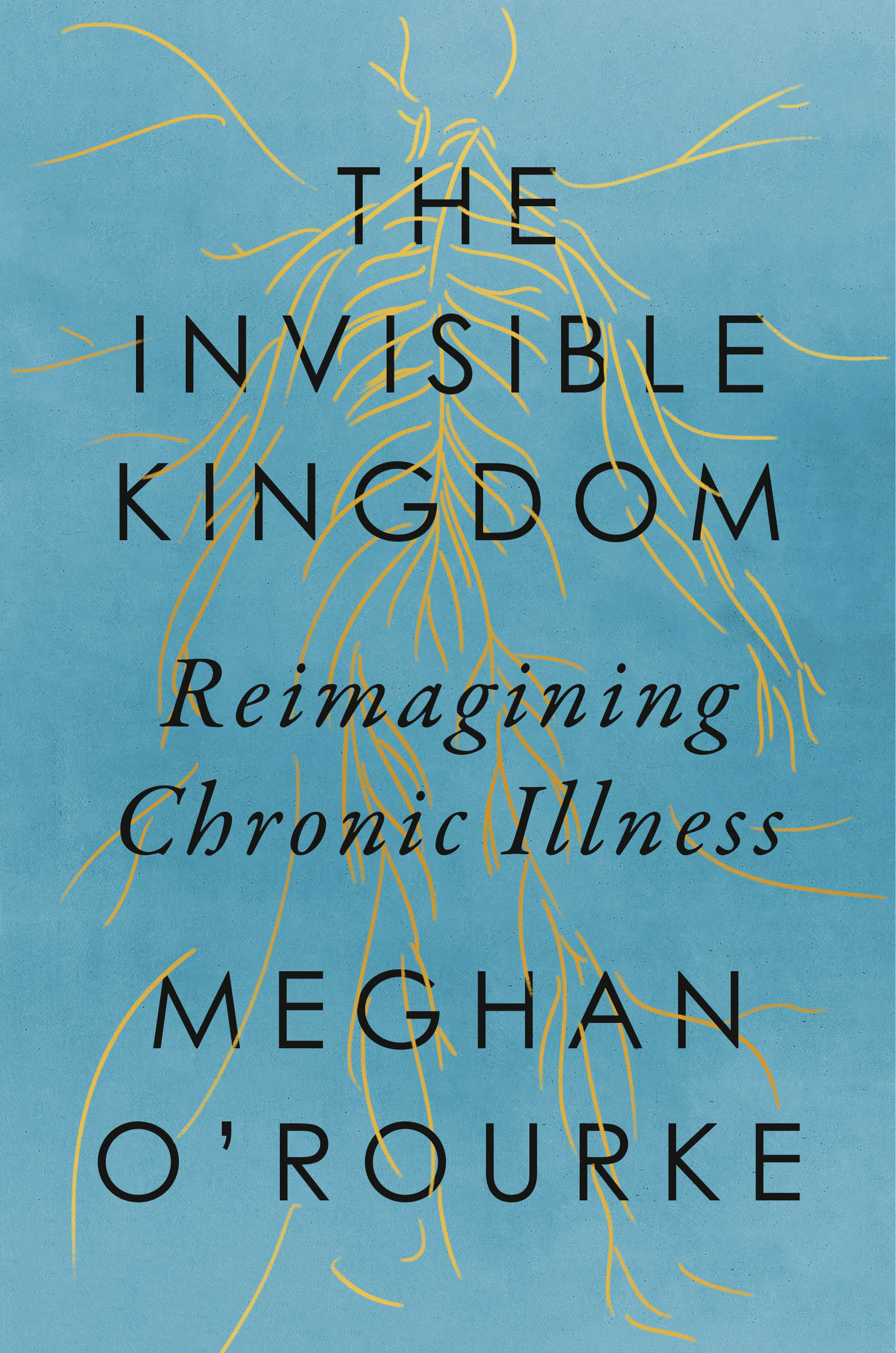 The invisible kingdom :  reimagining chronic illness