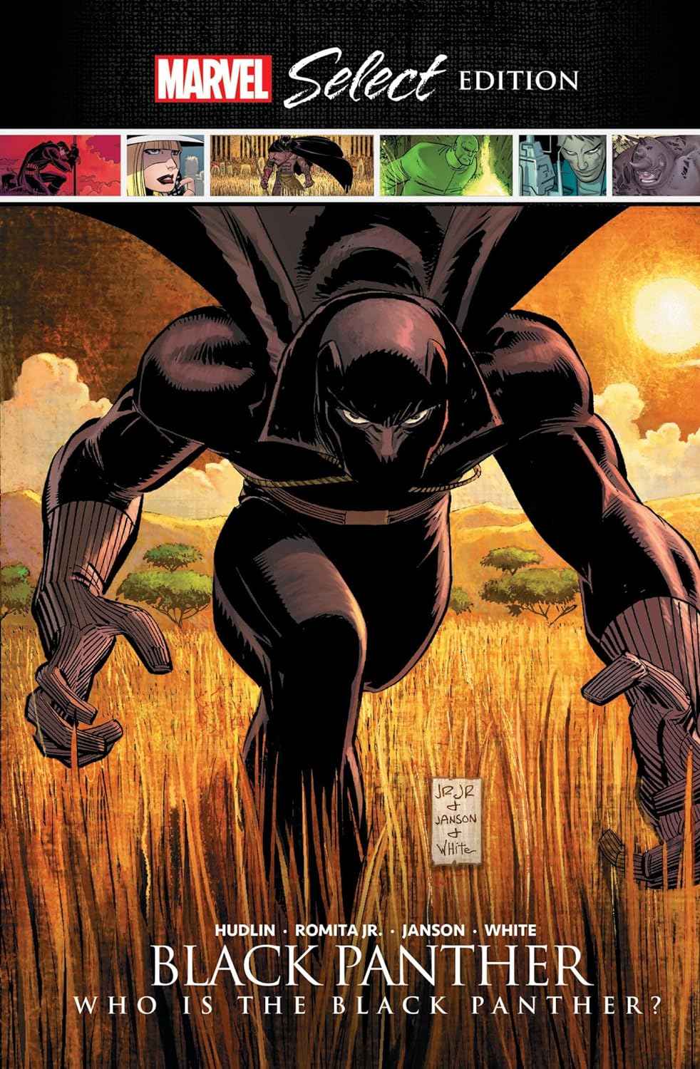 Black Panther :  who is the Black Panther?