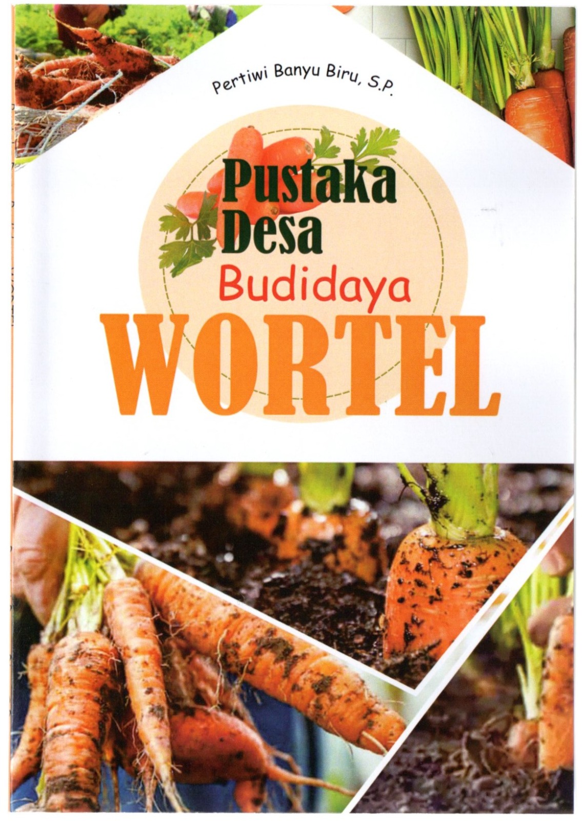 Pustaka desa :  budidaya wortel