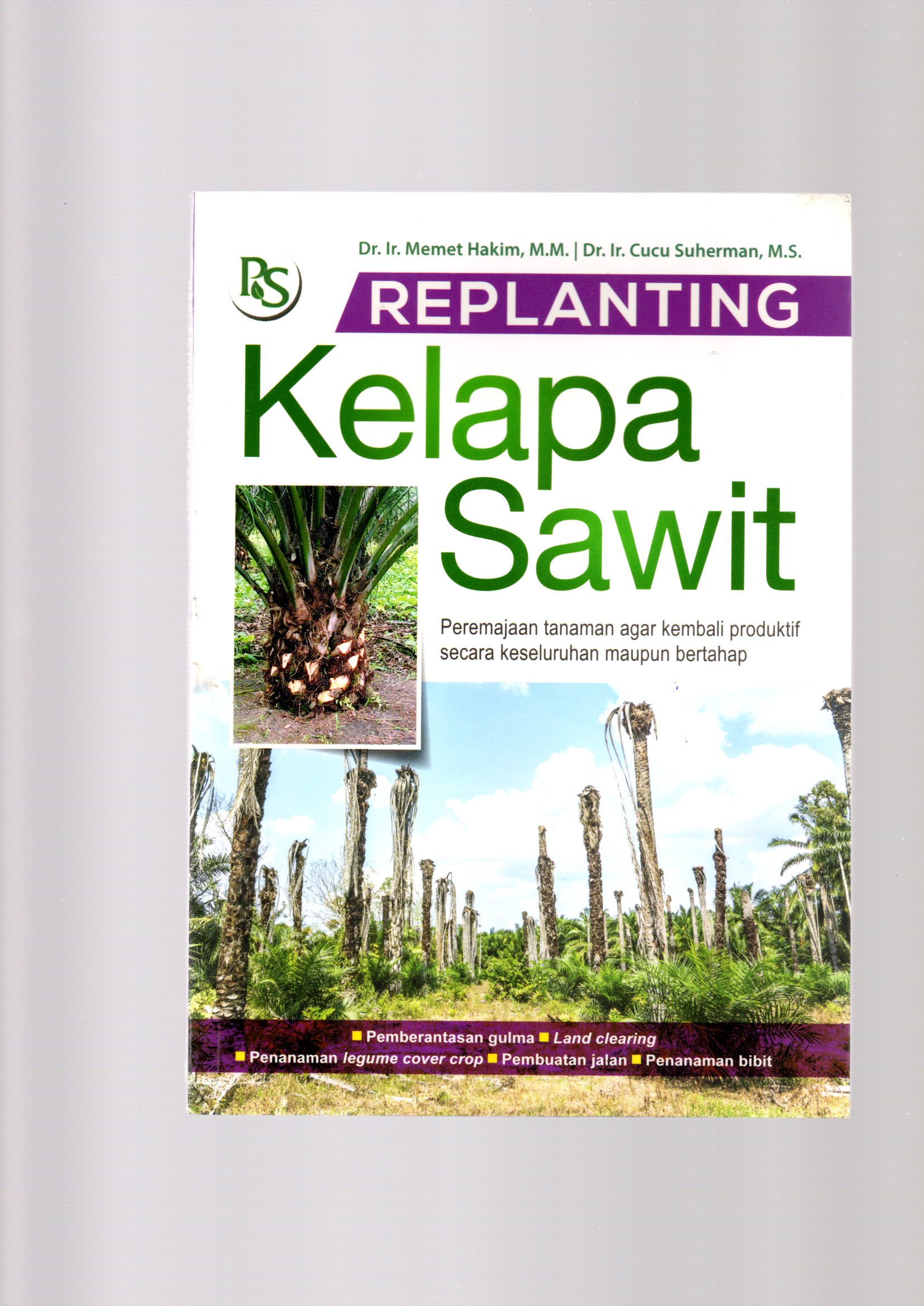 Replanting kelapa sawit
