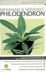 Menanam dan merawat Phulodendron
