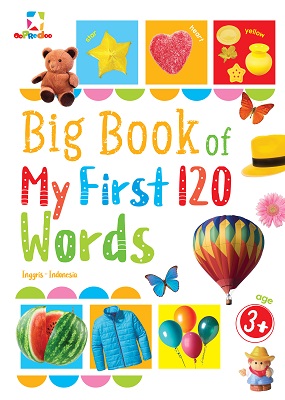 Big book of my first 120 words