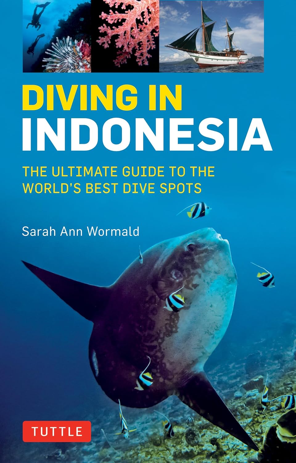 Diving in Indonesia :  the ultimate guide to the world's best dive spots
