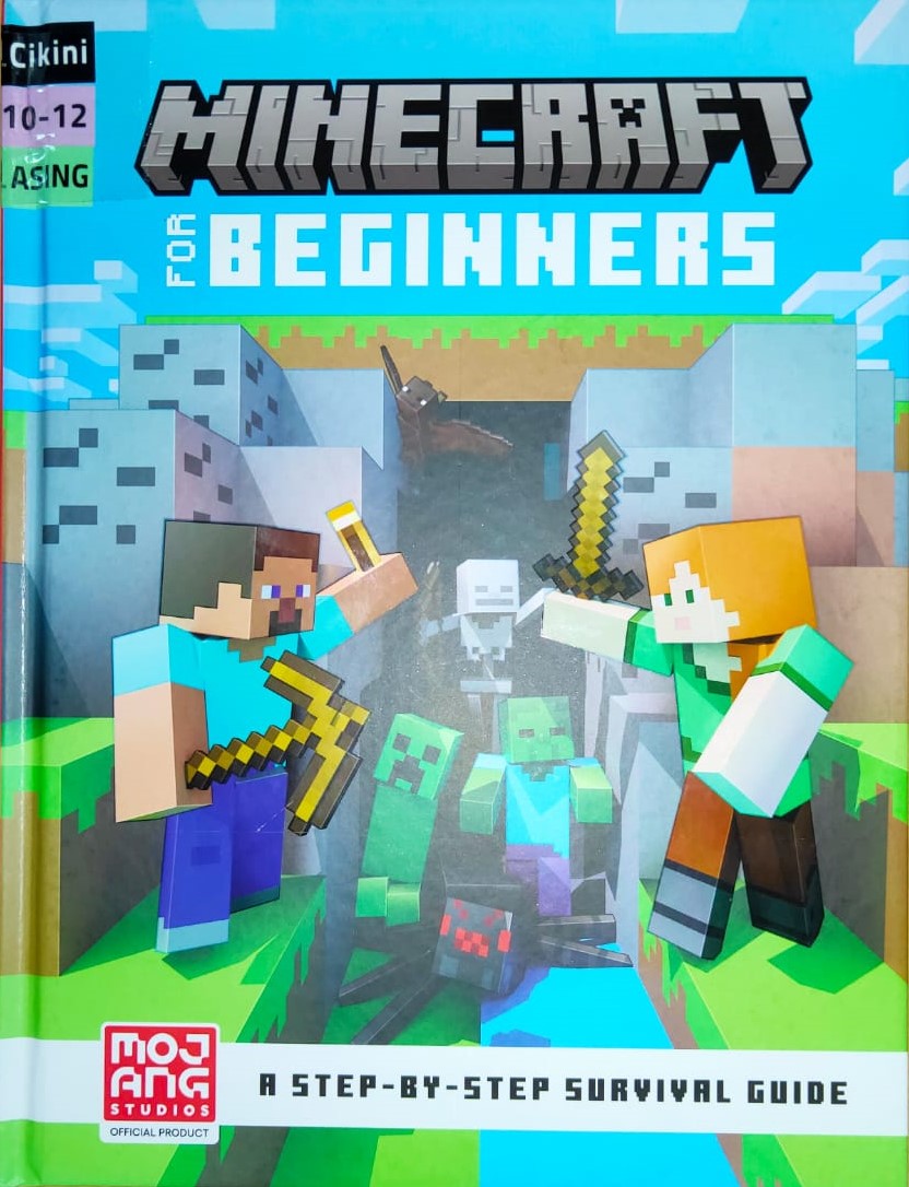 Minecraft for beginners