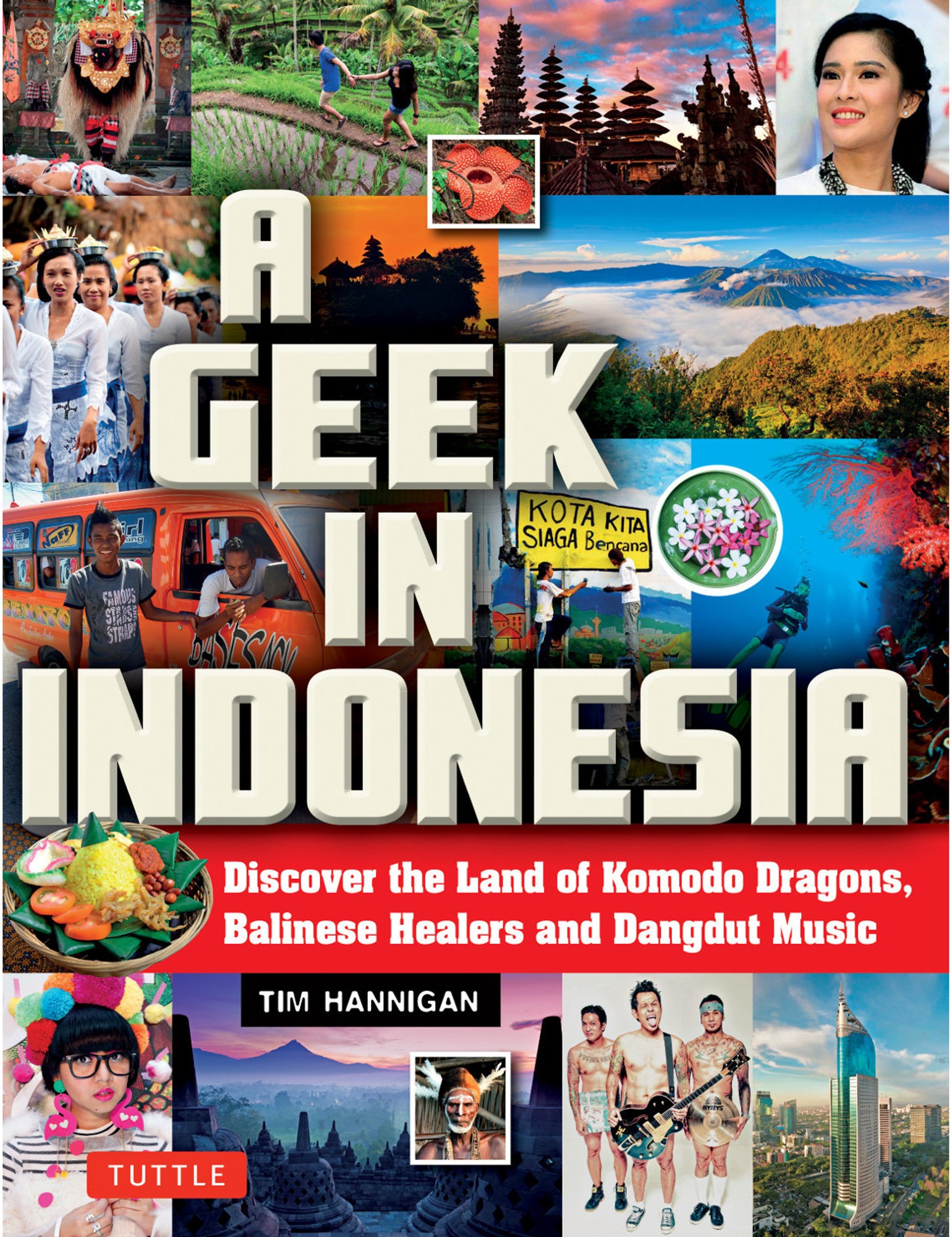 A geek in indonesia :  discover the land of komodo dragons, balinese healers and dangdut music