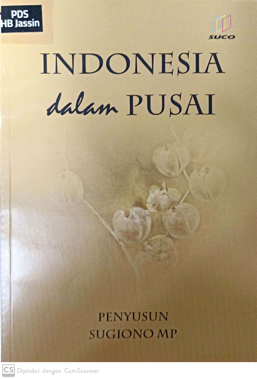 Indonesia dalam pusai