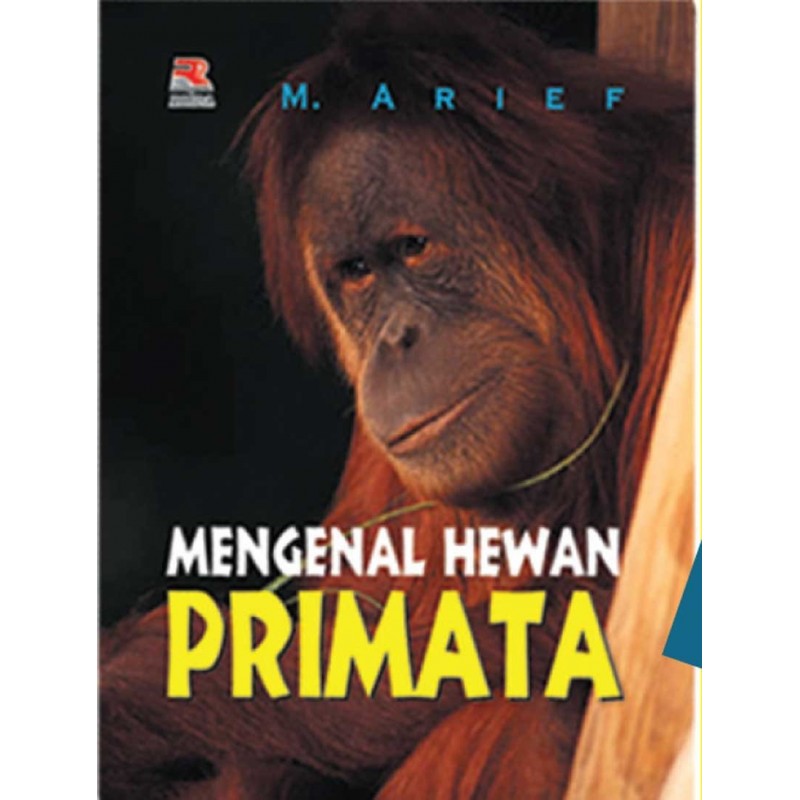 Mengenal hewan primata