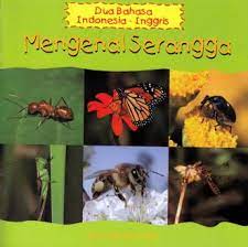 Mengenal Serangga :  Dua Bahasa Indonesia - Inggris