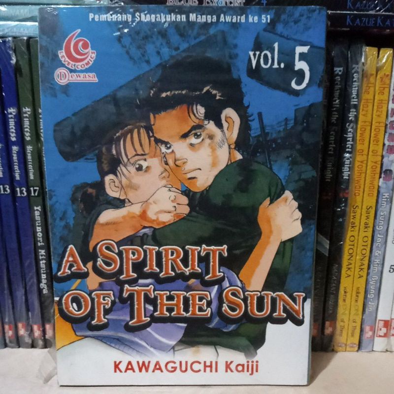 A spirit of the sun 5
